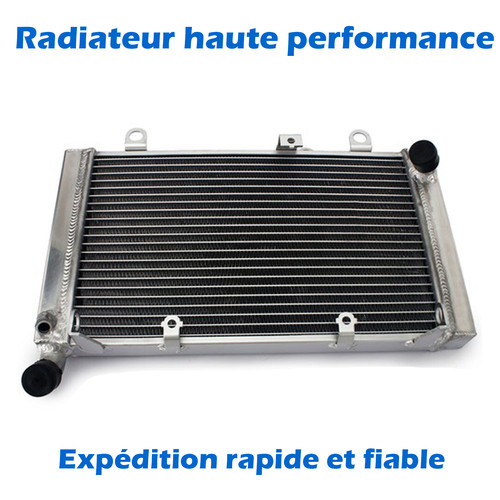 Radiateur refroidisseur - de,